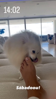 Keyla Alves feet photo thumbnail