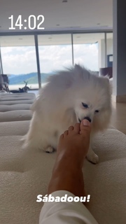 Keyla Alves feet photo thumbnail