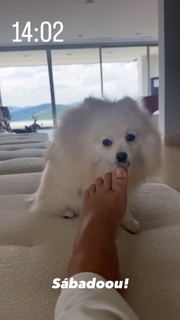 Keyla Alves feet photo thumbnail