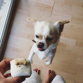 Kiersey Clemons feet photo thumbnail