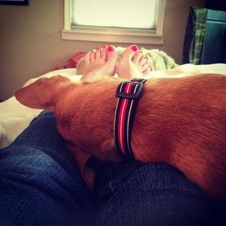 Kiersten Warren feet photo 2