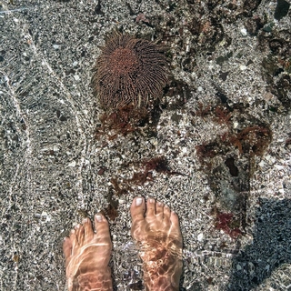 Kika Silva feet photo 12
