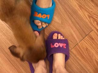 Kiko Mizuhara feet photo 14