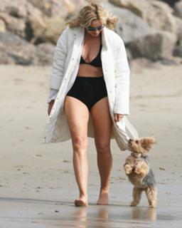 Kim Cattrall feet photo thumbnail