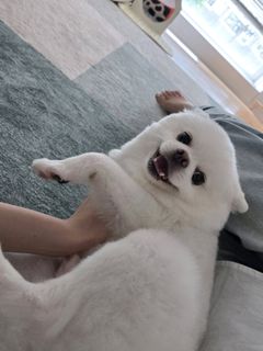 Kim Chae-won feet photo thumbnail