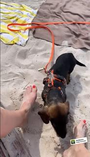 Kim Fisher feet photo thumbnail