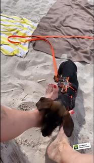 Kim Fisher feet photo thumbnail