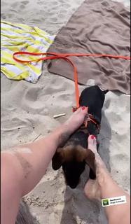 Kim Fisher feet photo thumbnail