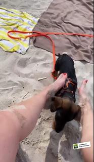 Kim Fisher feet photo thumbnail