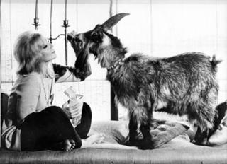 Kim Novak feet photo thumbnail