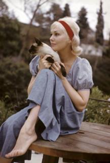 Kim Novak feet photo thumbnail