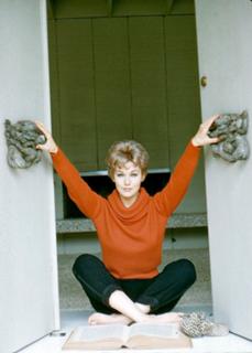 Kim Novak feet photo thumbnail