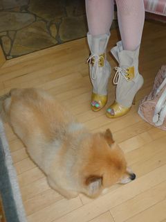 Kim Petras feet photo 14