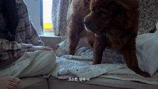 Kim Seol-hyun feet photo 6