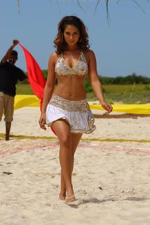 Kim Sharma feet photo 7