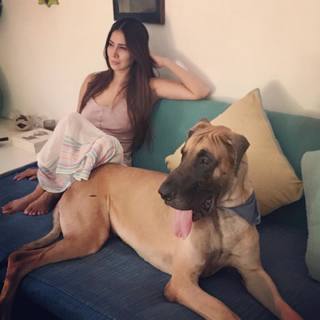 Kim Sharma feet photo 14