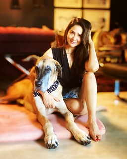 Kim Sharma feet photo 8