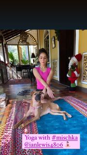 Kim Sharma feet photo 8
