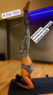 Kim Sharma feet photo 2