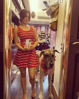Kim Sharma feet photo 17