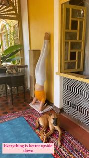 Kim Sharma feet photo 13