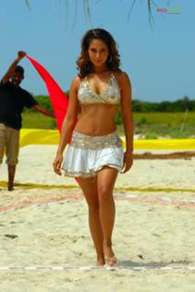 Kim Sharma feet photo 13