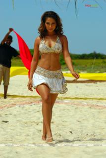 Kim Sharma feet photo 12
