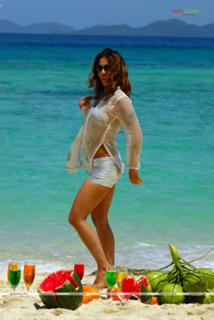Kim Sharma feet photo 10