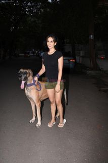 Kim Sharma feet photo 7