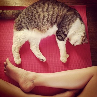 Kim Shaw feet photo 4