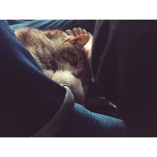 Kim Shaw feet photo 16