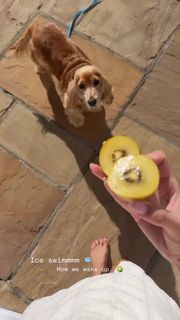 Kimberley Garner feet photo thumbnail