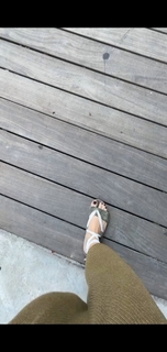 Kimberly Dos Ramos feet photo 6