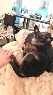 Kimiko Glenn feet photo 7