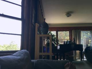 Kimmy Jimenez feet photo 6