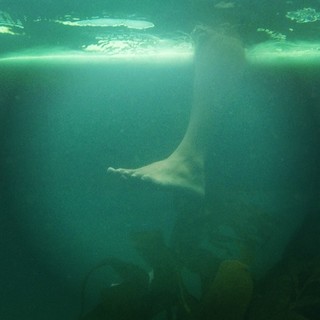 Kinga Philipps feet photo 6