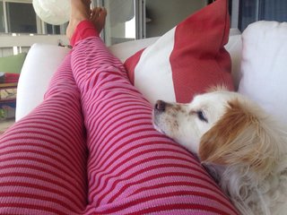 Kinga Philipps feet photo 16