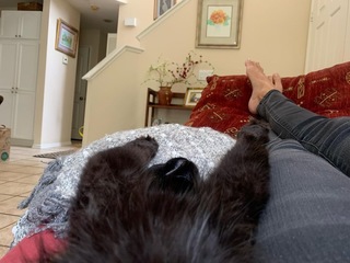 Kinga Philipps feet photo 5