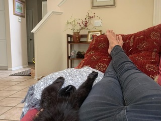 Kinga Philipps feet photo 3