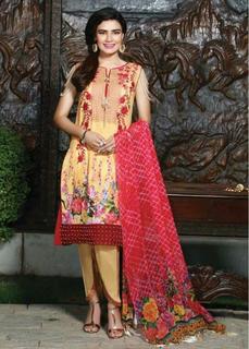 Kiran Haq feet photo 10