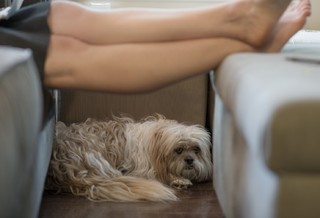 Kirsten Powers feet photo 1