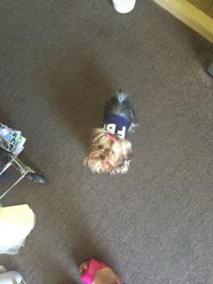 Kirsten Vangsness feet photo 5