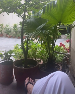 Kirti Kulhari feet photo 5