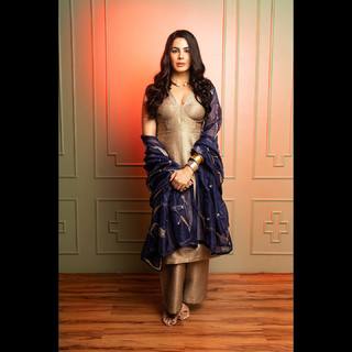 Kirti Kulhari feet photo 8
