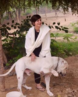 Kirti Kulhari feet photo 3