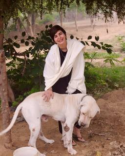 Kirti Kulhari feet photo 2