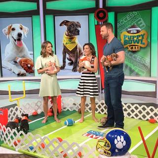 Kit Hoover feet photo thumbnail