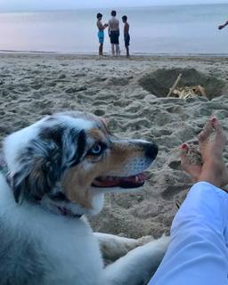 Kit Hoover feet photo thumbnail