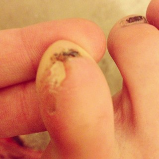 Kitty feet photo 4