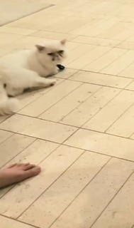 Kkatamina feet photo 19